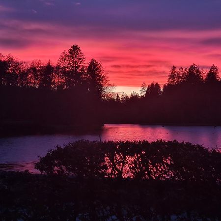 Hotel Waldsee Lindenberg im Allgäu Kültér fotó