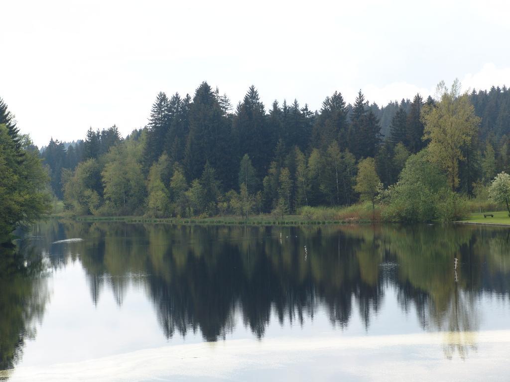 Hotel Waldsee Lindenberg im Allgäu Kültér fotó