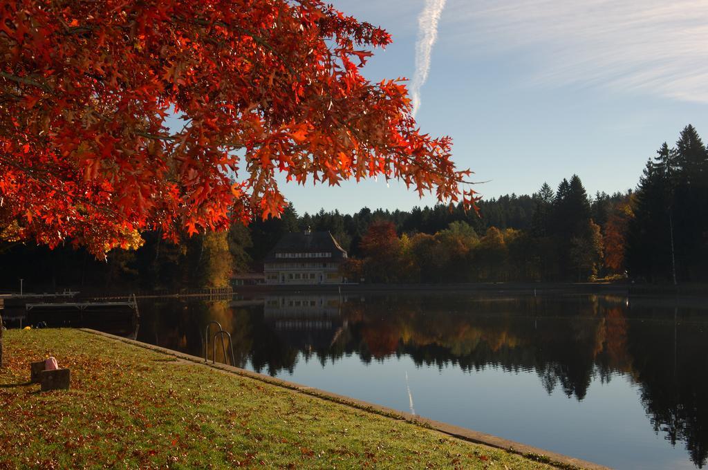 Hotel Waldsee Lindenberg im Allgäu Kültér fotó