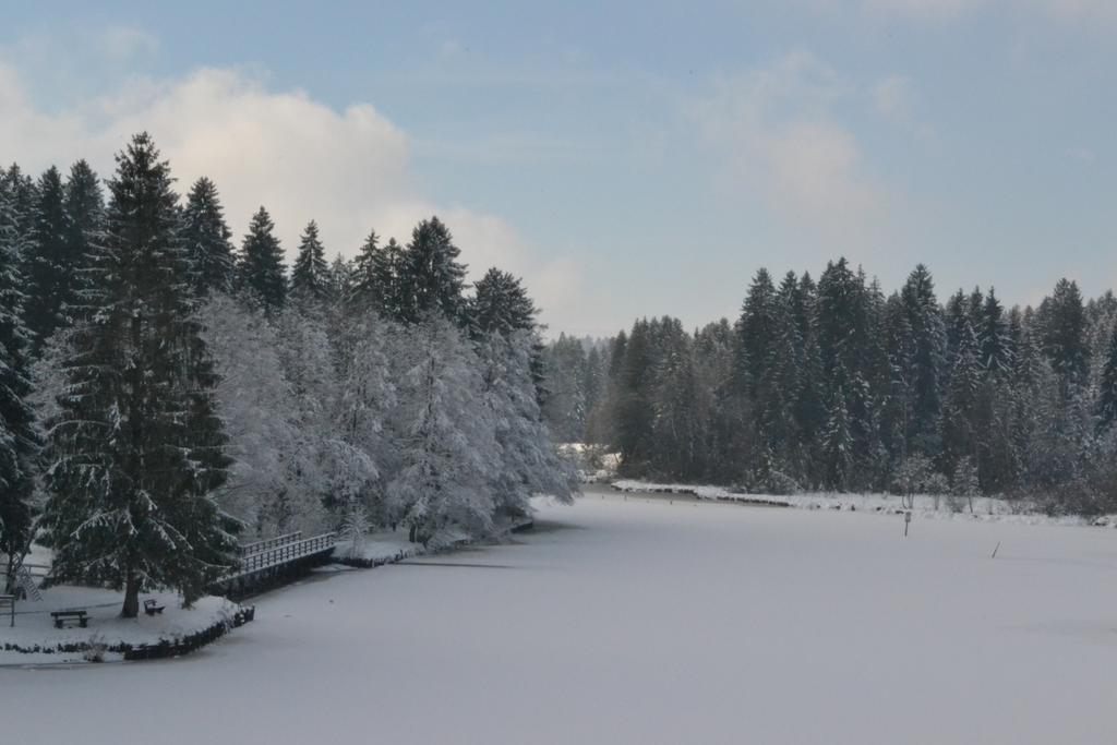 Hotel Waldsee Lindenberg im Allgäu Kültér fotó