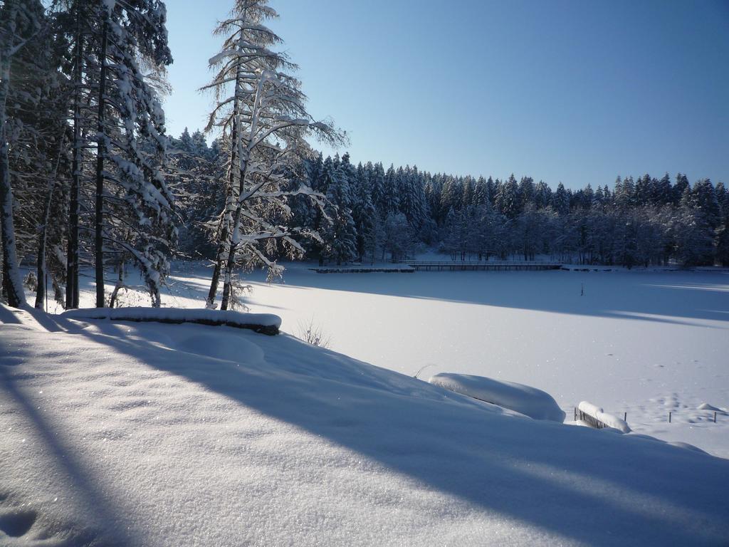 Hotel Waldsee Lindenberg im Allgäu Kültér fotó