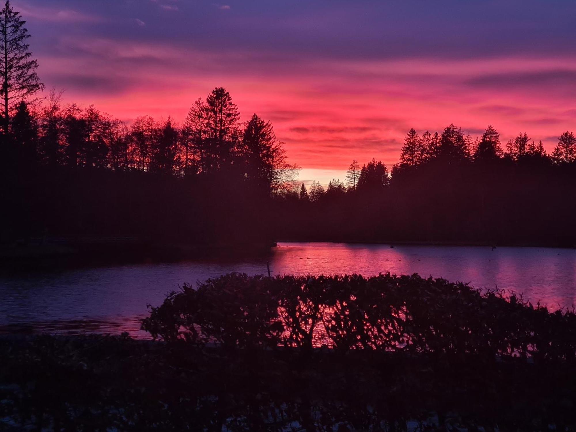Hotel Waldsee Lindenberg im Allgäu Kültér fotó