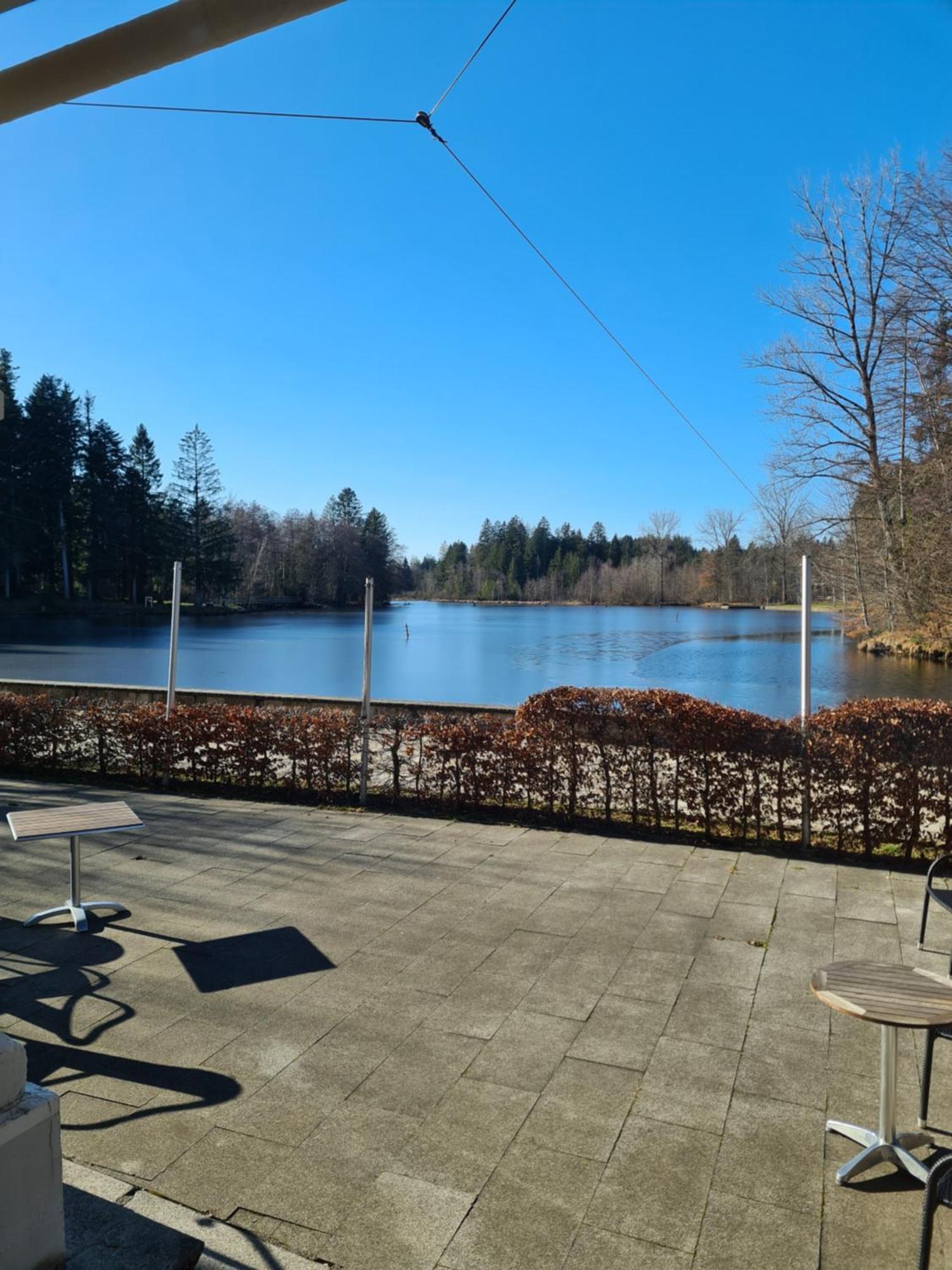 Hotel Waldsee Lindenberg im Allgäu Kültér fotó