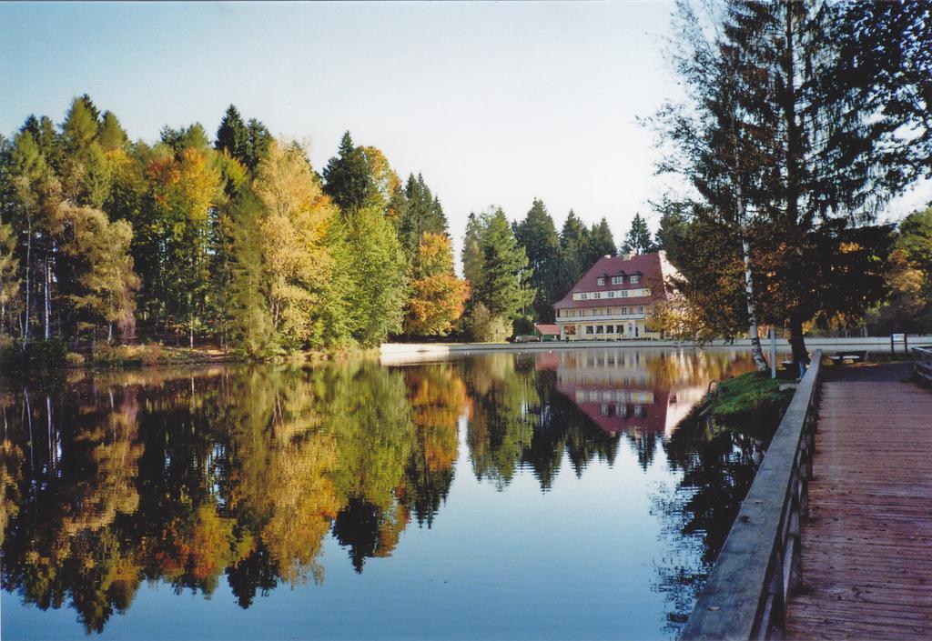 Hotel Waldsee Lindenberg im Allgäu Kültér fotó